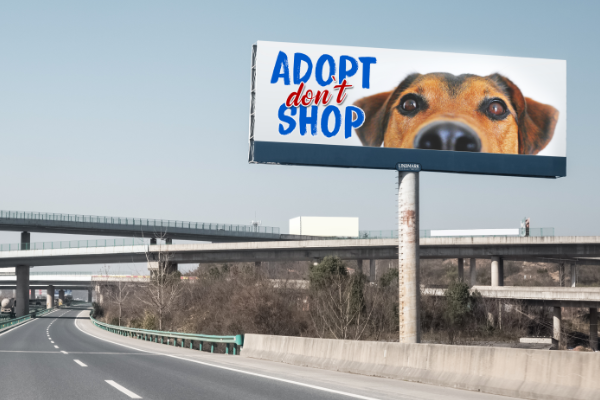 Making a Statement to Viewers With the Designs On Your Billboard